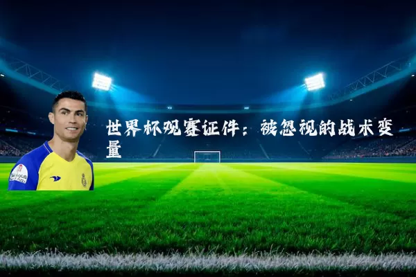 世界杯观赛证件:被忽视的战术变量